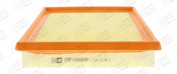 Air Filter (CAF100684P)