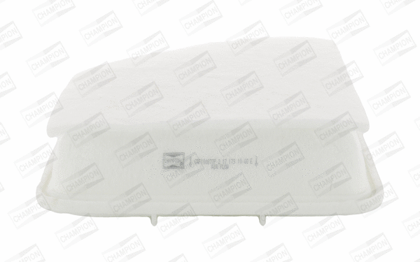 Air Filter (CAF100877P)