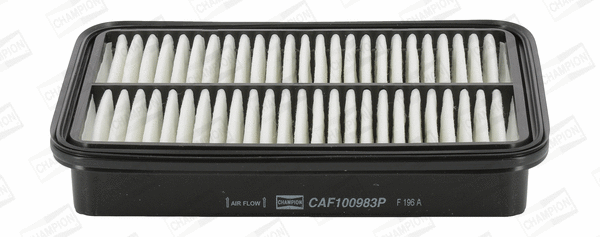 Air Filter (CAF100983P)