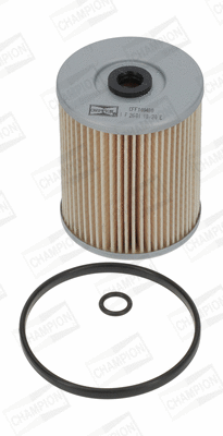 Fuel Filter (CFF100480)