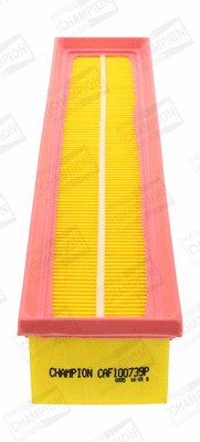 Air Filter (CAF100739P)
