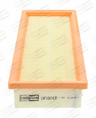 Air Filter (CAF100743P)