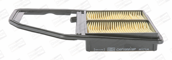 Air Filter (CAF100819P)