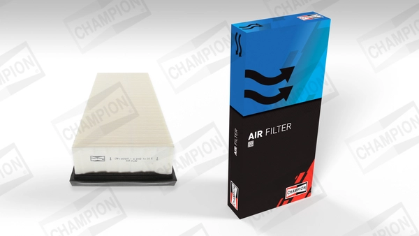 Air Filter (CAF100721P)