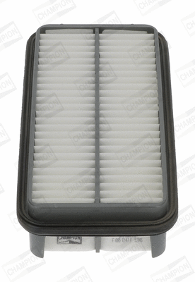 Air Filter (CAF100946P)