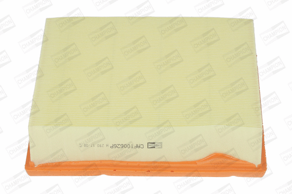 Air Filter (CAF100626P)