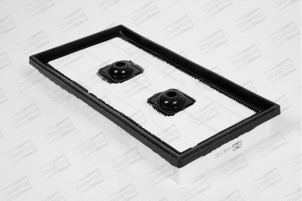Air Filter (U869/606)