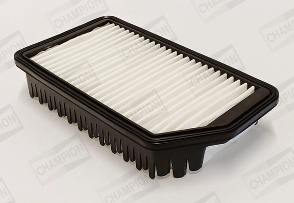 Air Filter (CAF101228P)