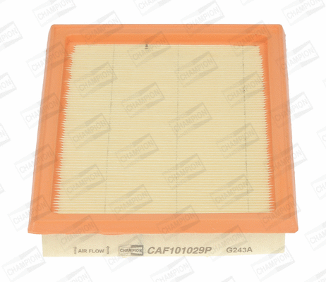 Air Filter (CAF101029P)