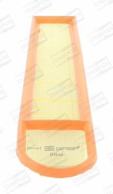 Air Filter (CAF100921P)