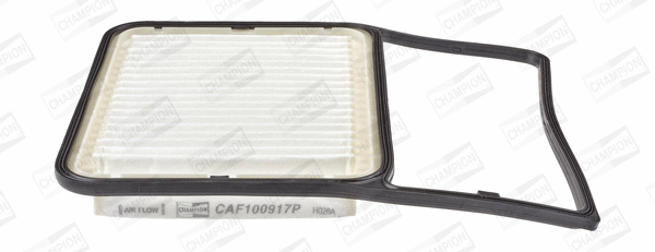 Air Filter (CAF100917P)