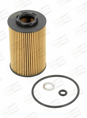 Oil Filter (COF100598E)