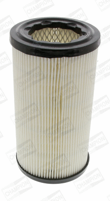 Air Filter (CAF100442C)