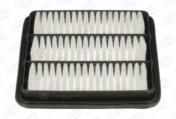 Air Filter (CAF101083P)