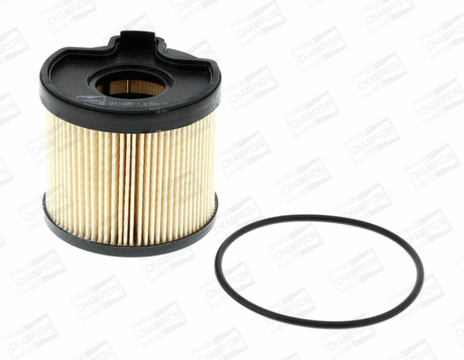 Fuel Filter (CFF100251)