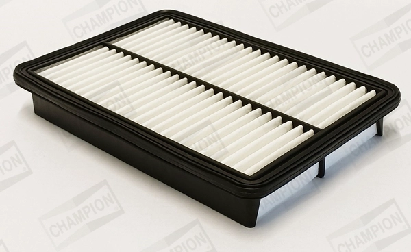 Air Filter (CAF101239P)