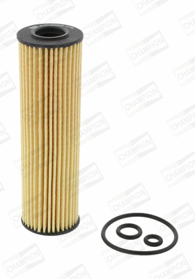 Oil Filter (COF100550E)