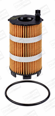Oil Filter (COF100604E)