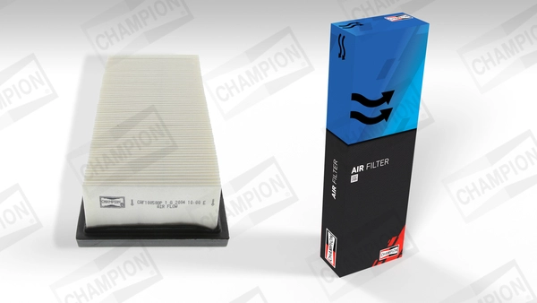 Air Filter (CAF100508P)
