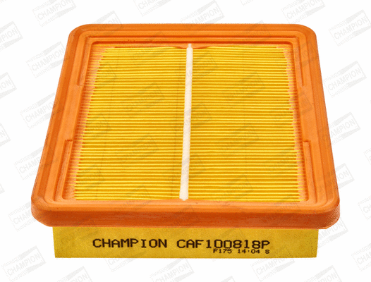 Air Filter (CAF100818P)