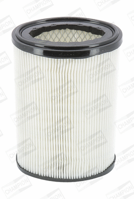 Air Filter (CAF100414C)