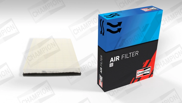 Air Filter (CAF100707P)