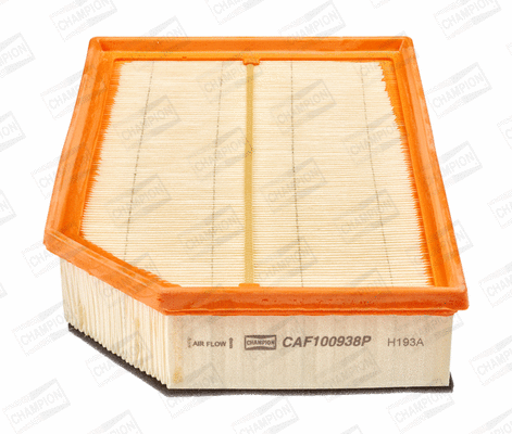 Air Filter (CAF100938P)