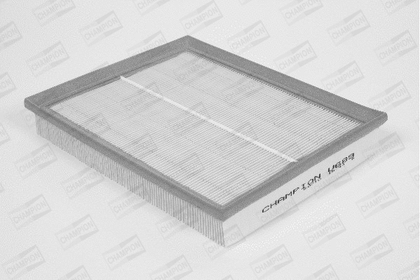 Air Filter (U689/606)
