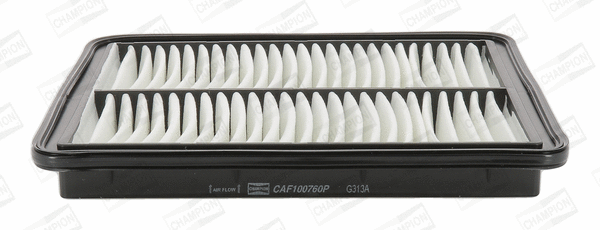 Air Filter (CAF100760P)