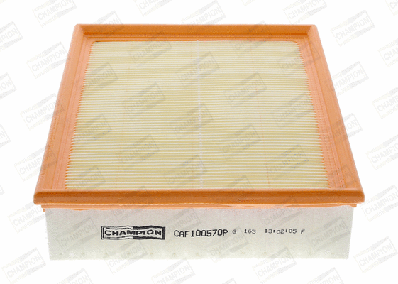 Air Filter (CAF100570P)