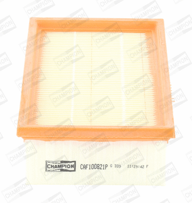 Air Filter (CAF100821P)