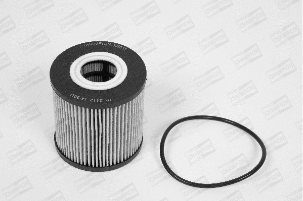 Oil Filter (XE511/606)