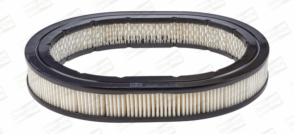 Air Filter (CAF100159R)