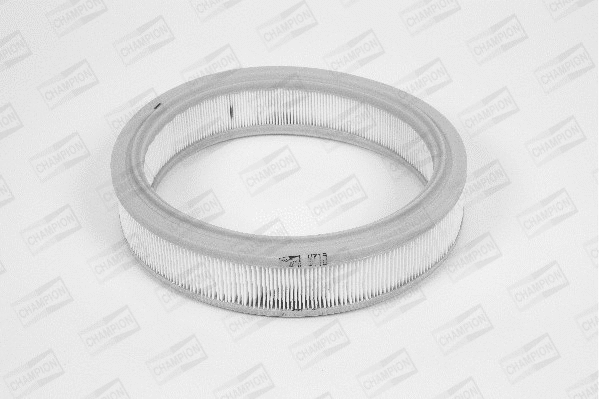 Air Filter (W719/606)
