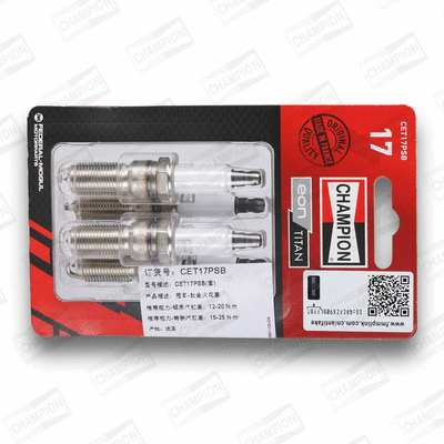 Spark Plug