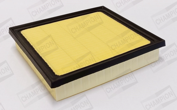 Air Filter (CAF101221P)