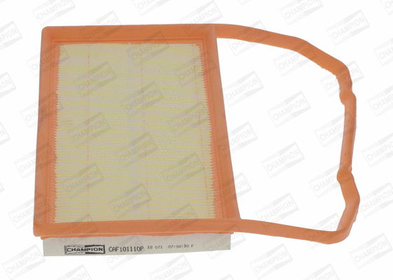 Air Filter (CAF101110P)
