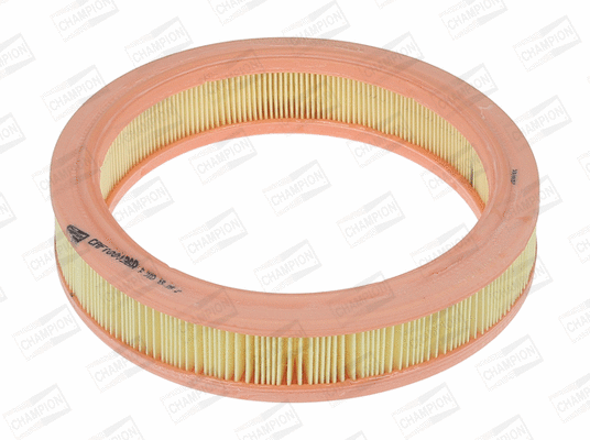 Air Filter (CAF100136R)