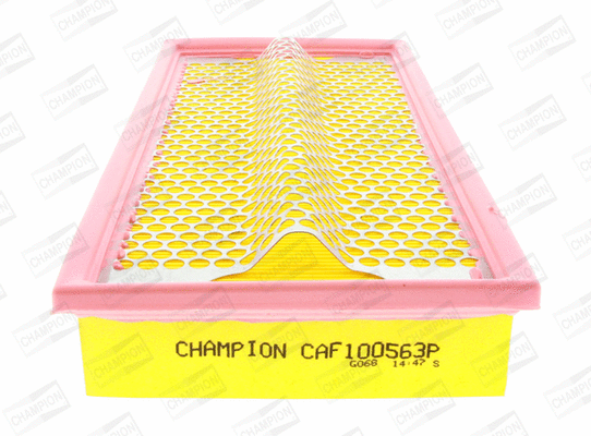 Air Filter (CAF100563P)