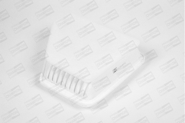 Air Filter (U877/606)