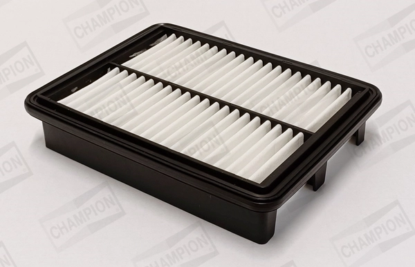 Air Filter (CAF101171P)