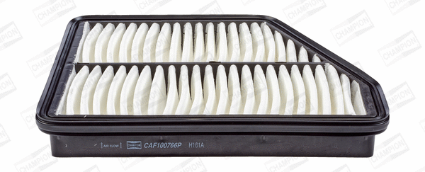 Air Filter (CAF100766P)