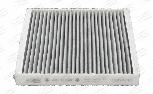 Filter, cabin air (CCF0171C)