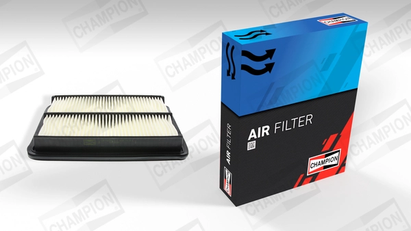 Air Filter (CAF100731P)