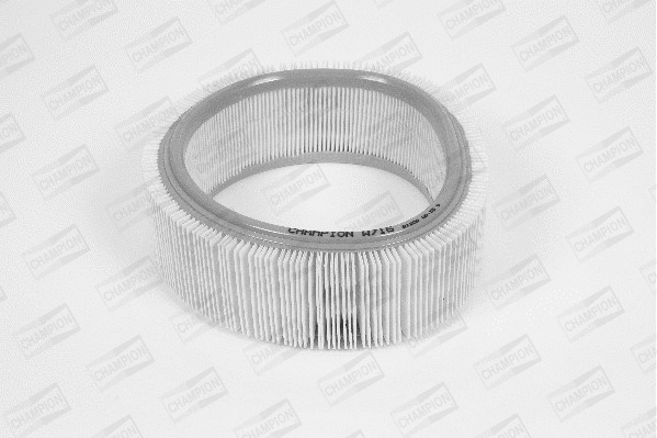 Air Filter (W716/606)