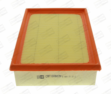 Air Filter (CAF100607P)