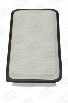 Air Filter (CAF100985P)
