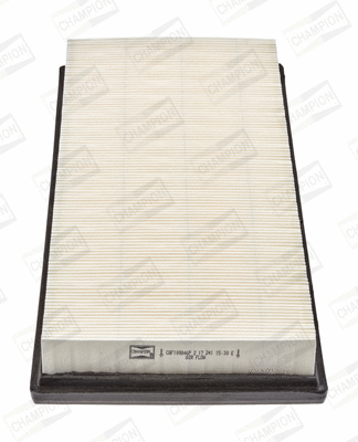 Air Filter (CAF100846P)
