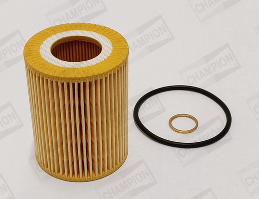 Oil Filter (COF100750E)