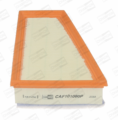 Air Filter (CAF101080P)